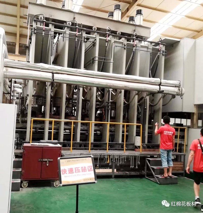 1556506560109391.jpg 6.jpg